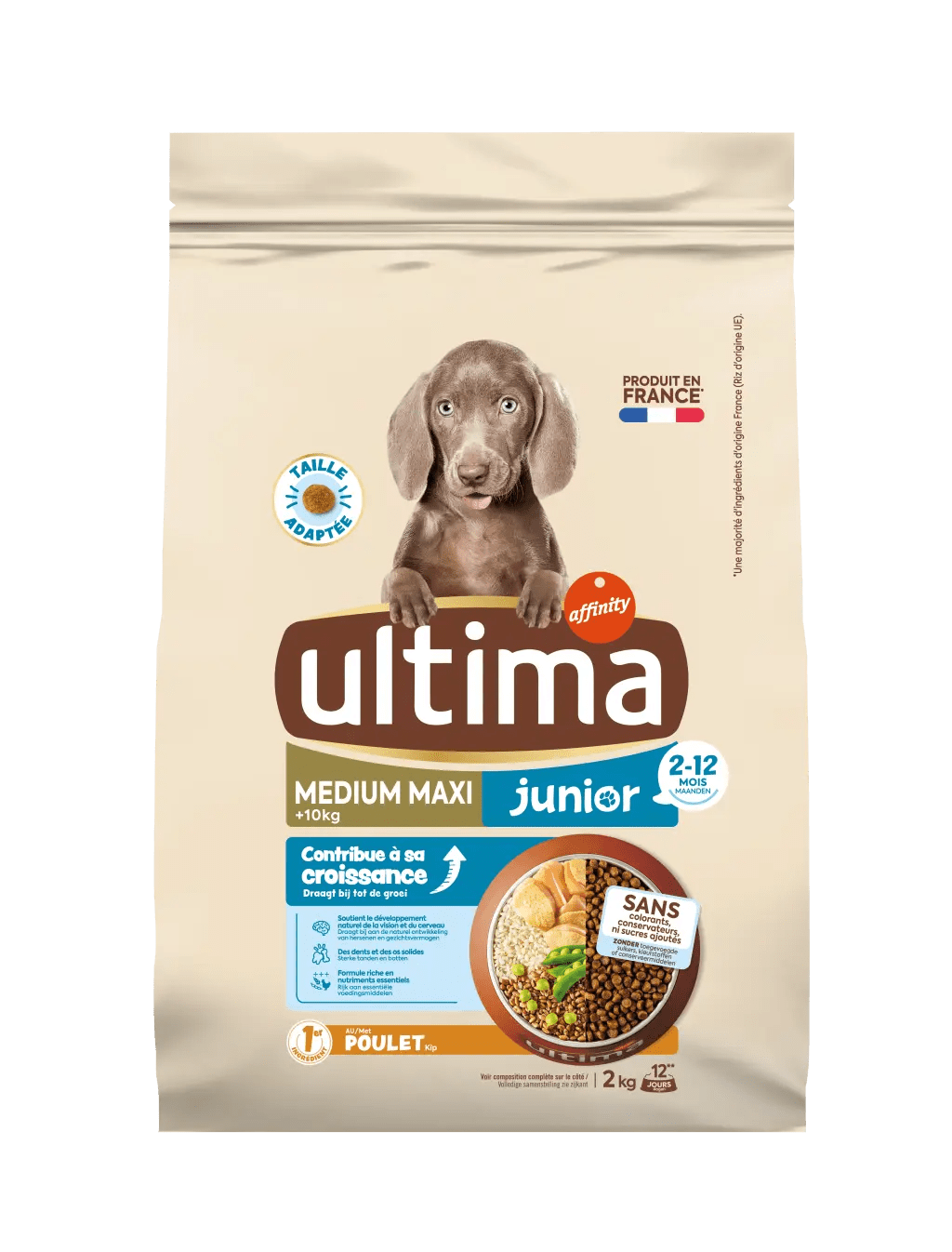 Medium-Maxi Junior with Chicken