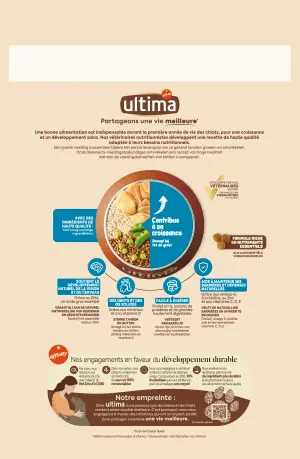 Medium-Maxi Junior avec du Poulet