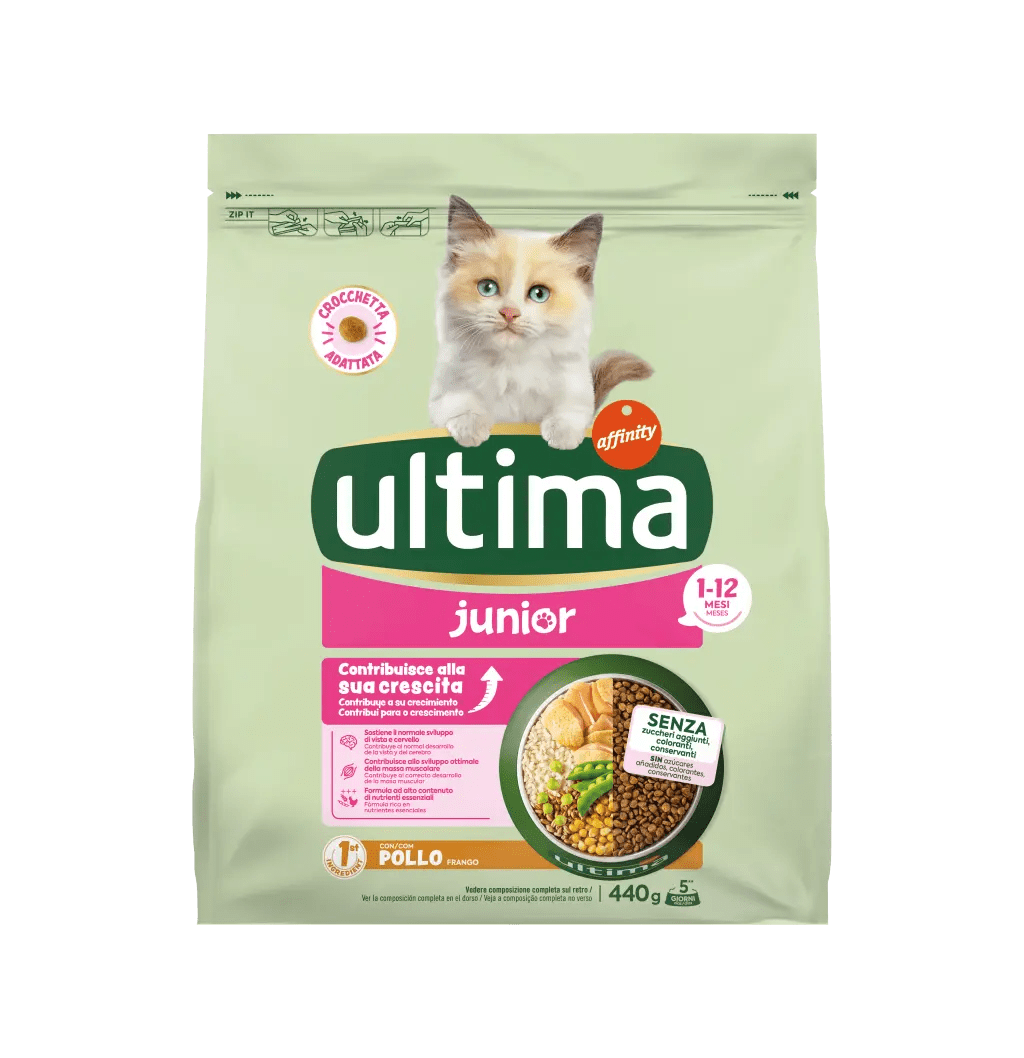Junior con Pollo