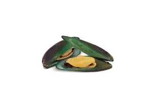 With green-lipped mussel