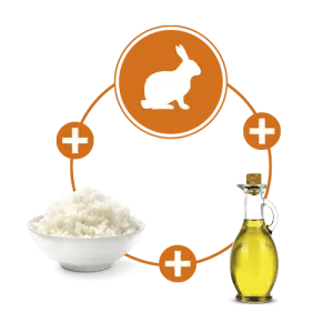 With rabbit-rice-oil