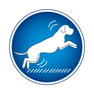 cibo per cani Natural trainer scatoletta manzo 400gr – FoodPet – Negozio di  alimenti per animali domestici