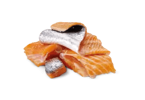 with Salmon