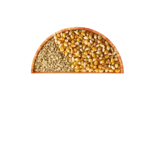 Cereali integrali