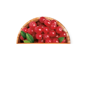 Arándano