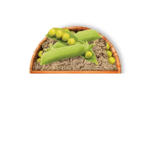 Pea fiber