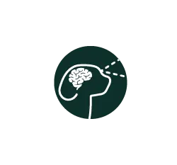 Brain and vision development