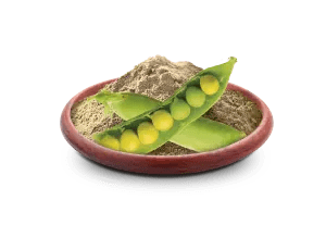 With pea fiber