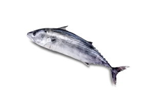 With Blue Fish